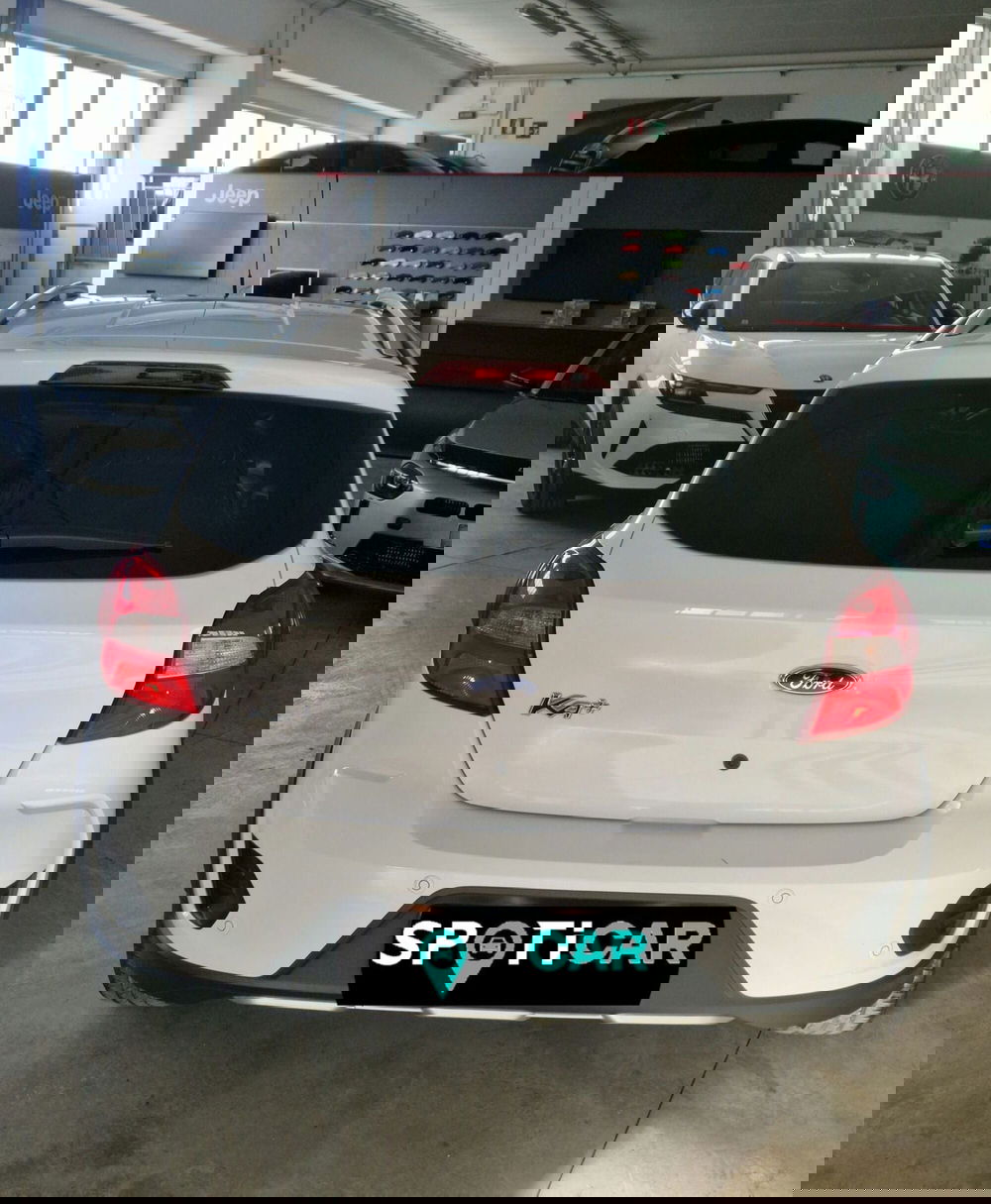 Ford Fiesta usata a Terni (5)