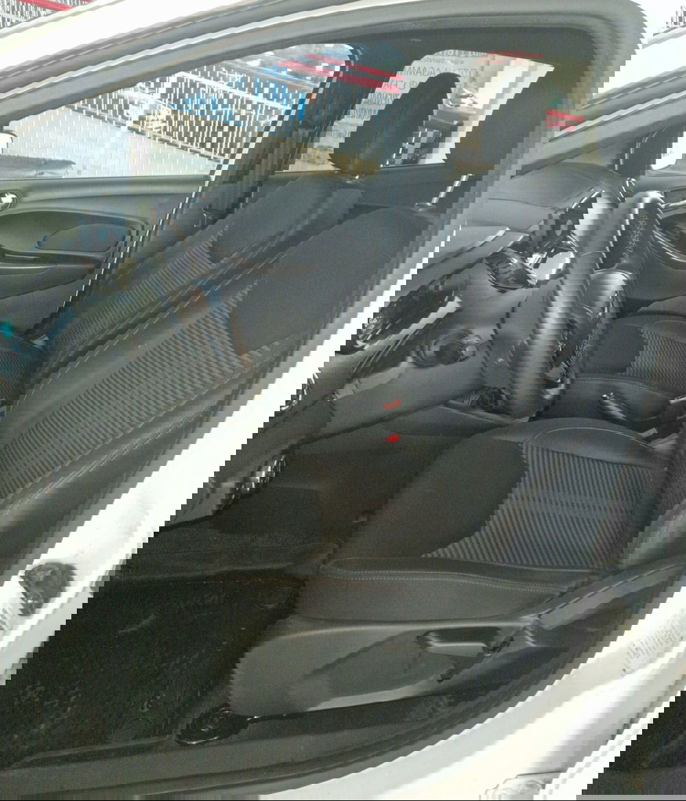 Ford Fiesta usata a Terni (7)