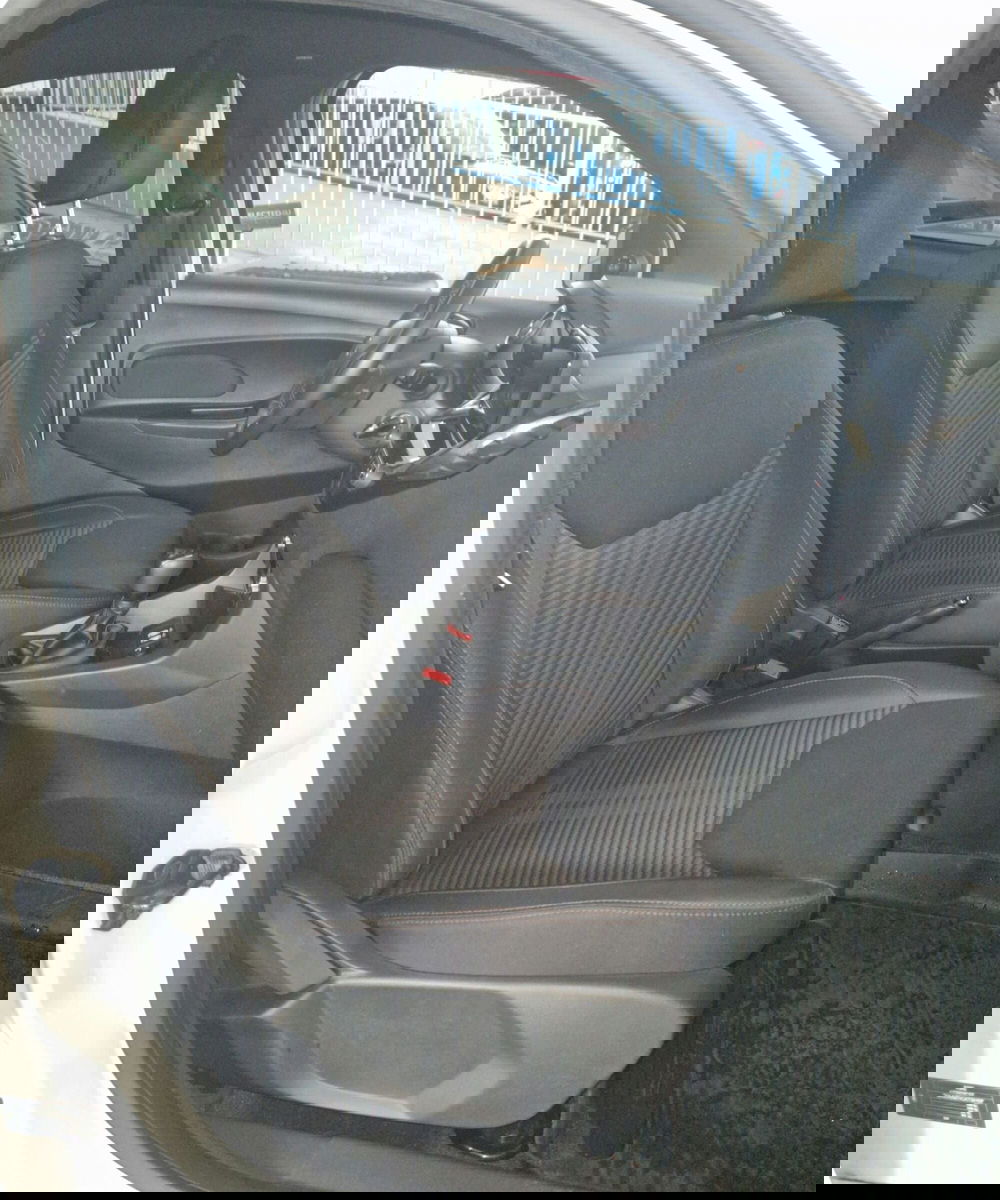 Ford Fiesta usata a Terni (8)