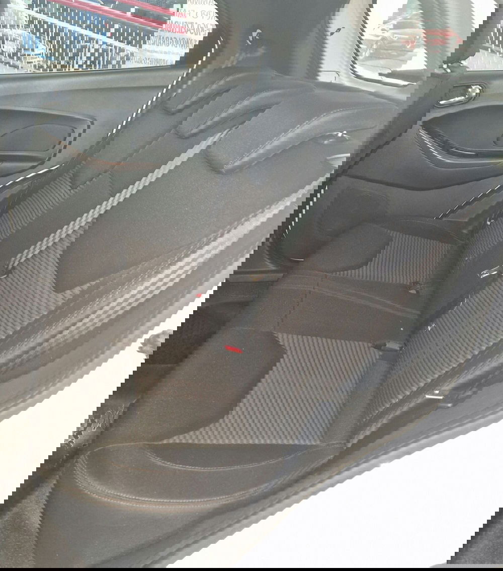 Ford Fiesta usata a Terni (9)