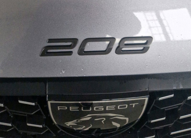 Peugeot 208 usata a Terni (20)