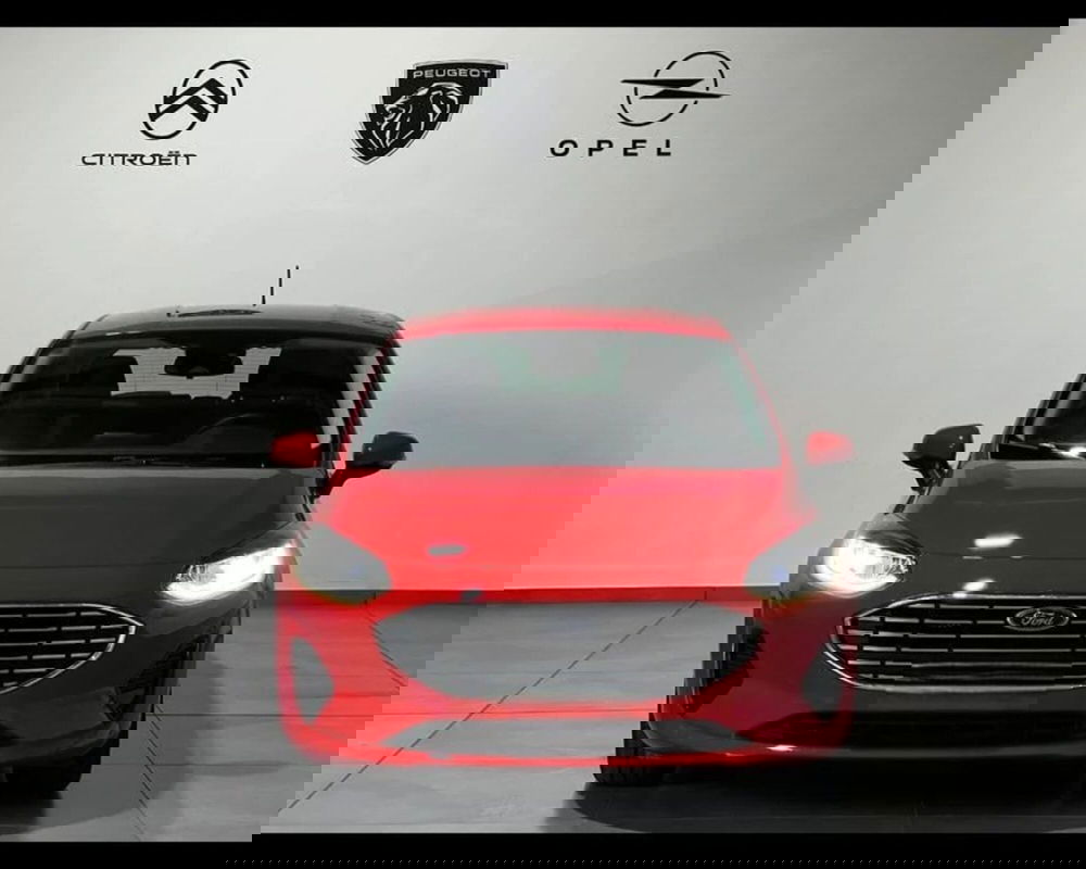 Ford Fiesta usata a Asti (2)