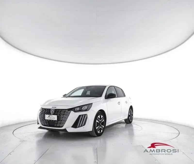 Peugeot 208 usata a Perugia