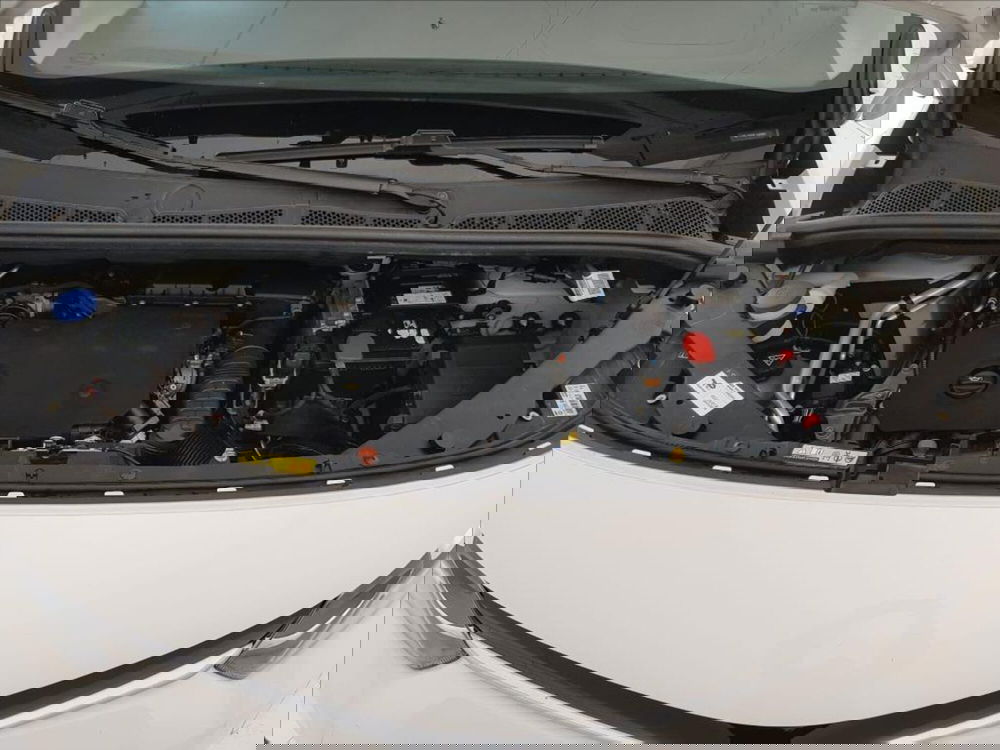 Toyota Proace City Verso usata a Lucca (17)