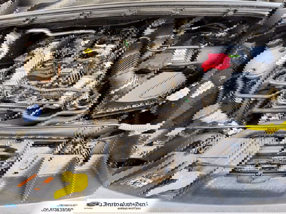 Ford Puma usata a Roma (12)