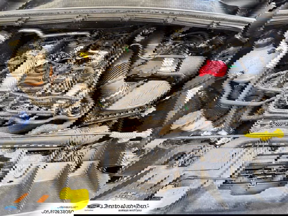 Ford Puma usata a Roma (12)