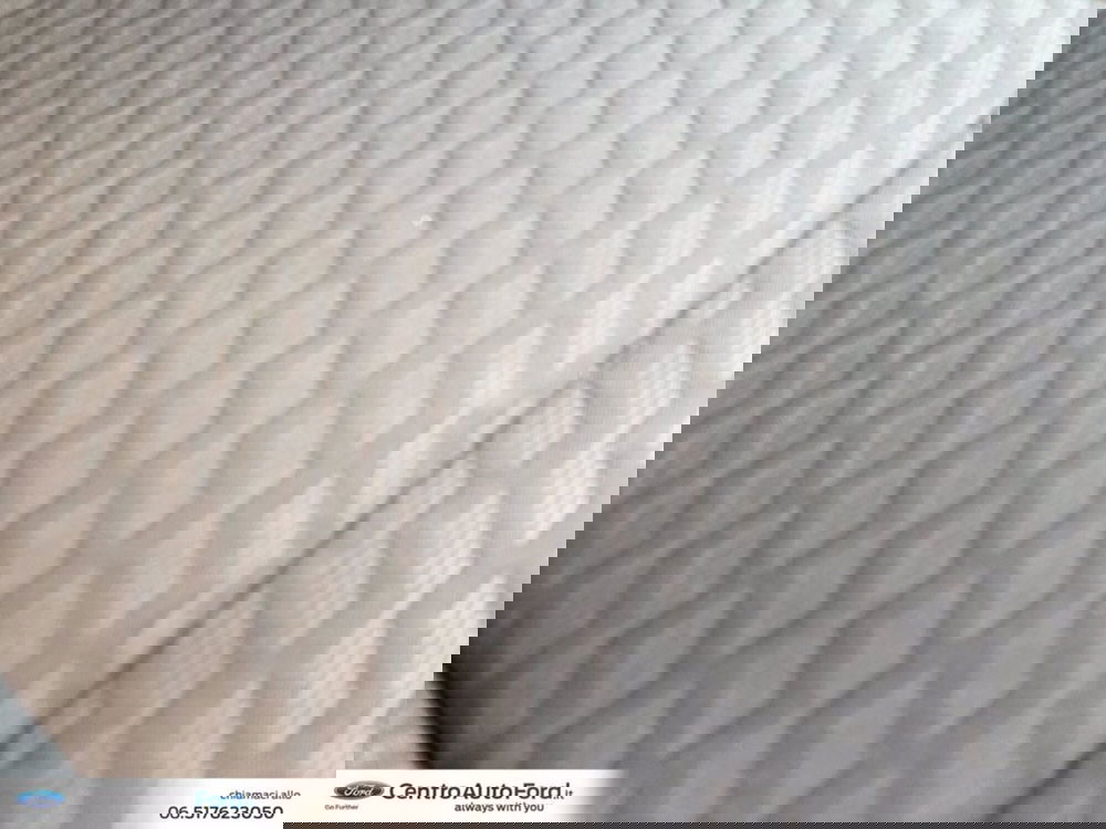 Ford Puma usata a Roma (8)