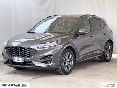 Ford Kuga 2.0 EcoBlue 120 CV aut. 2WD ST-Line X del 2023 usata a Albano Laziale