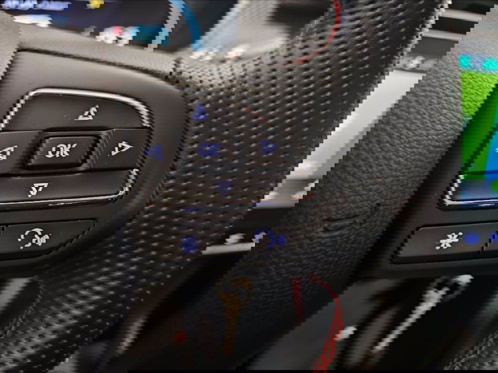 Mg ZS usata a Palermo (13)