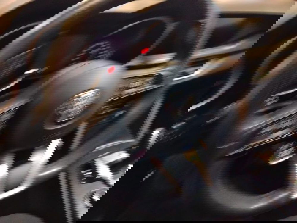 Alfa Romeo Stelvio usata a Forlì-Cesena (13)