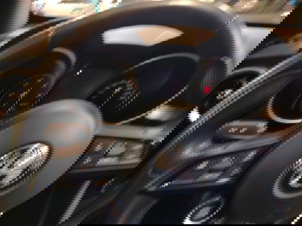 Alfa Romeo Stelvio usata a Forlì-Cesena (16)