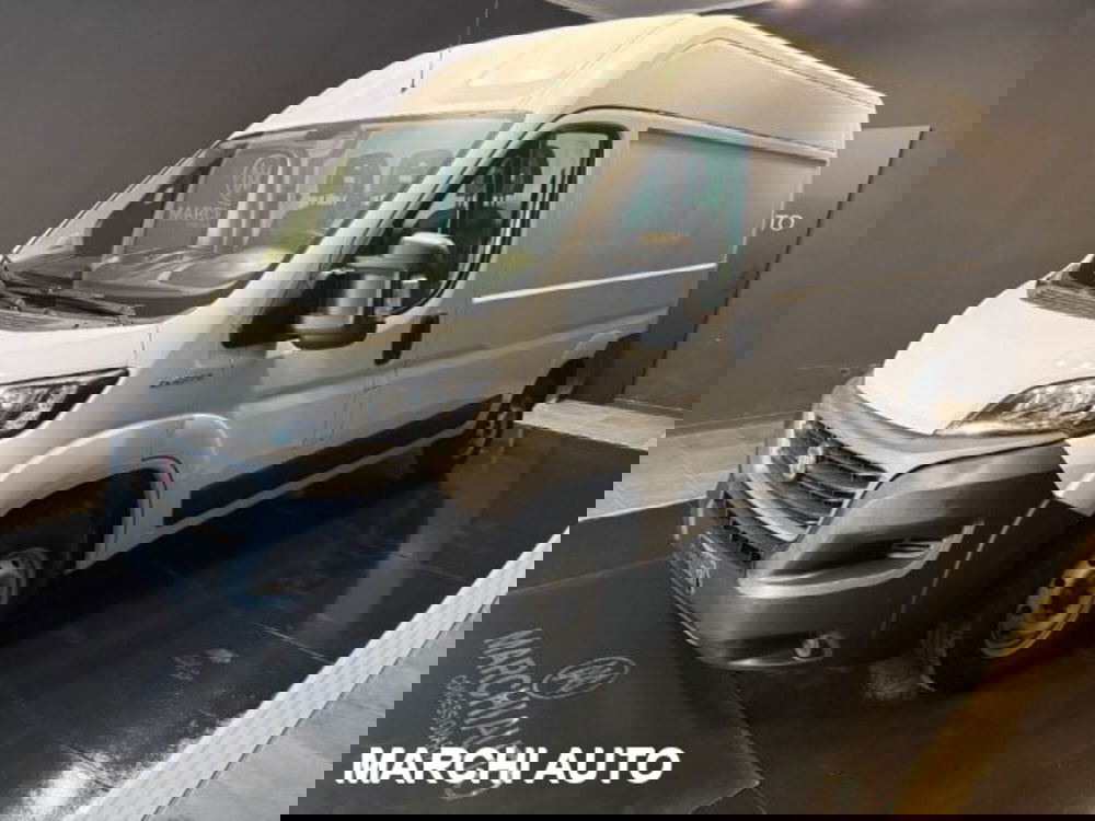 Fiat Ducato Furgone usata a Perugia