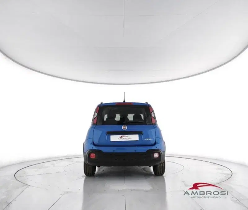 Fiat Panda Cross usata a Perugia (4)