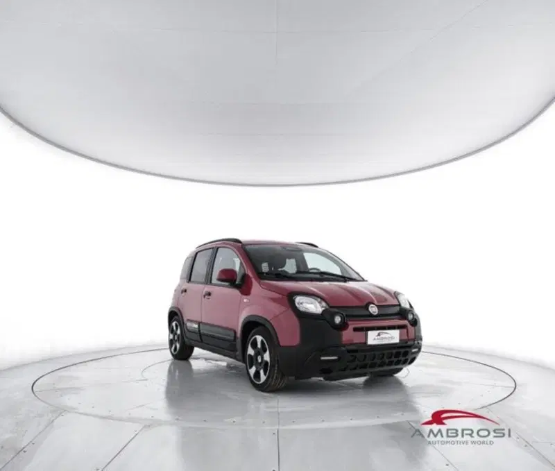 Fiat Panda Cross usata a Perugia