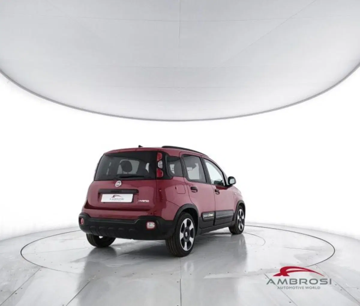 Fiat Panda Cross usata a Perugia