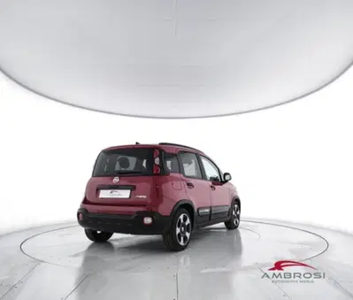 Fiat Panda Cross 1.0 firefly hybrid Cross s&amp;s 70cv 5p.ti del 2025 usata a Corciano