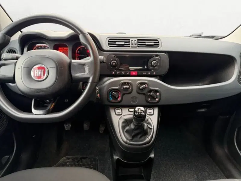 Fiat Panda Cross usata a Treviso (11)