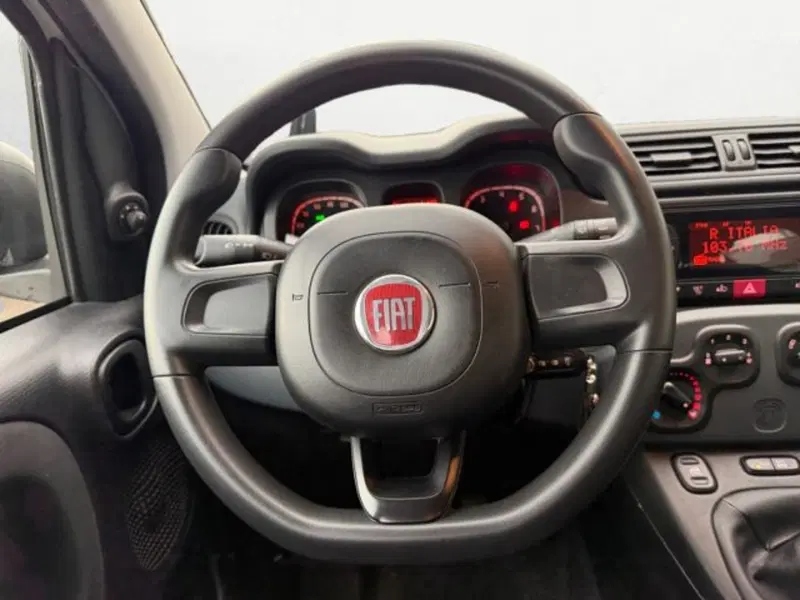 Fiat Panda Cross usata a Treviso (13)