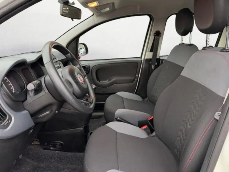 Fiat Panda Cross usata a Treviso (9)