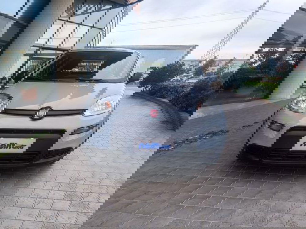 Fiat Panda usata a Pisa (11)