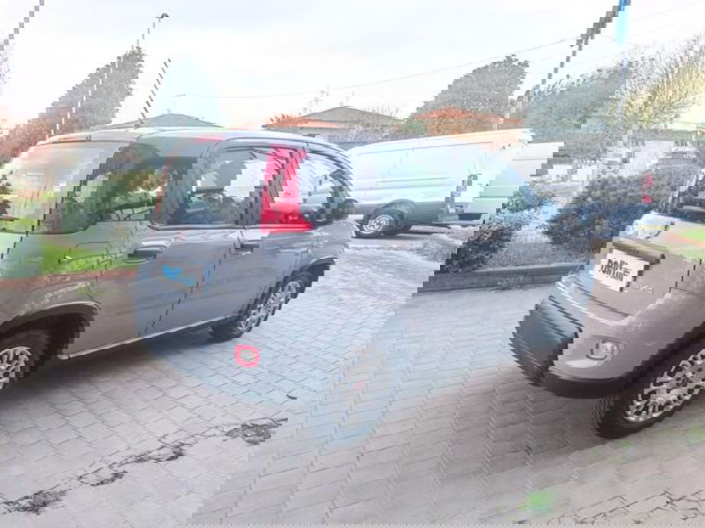 Fiat Panda usata a Pisa (18)