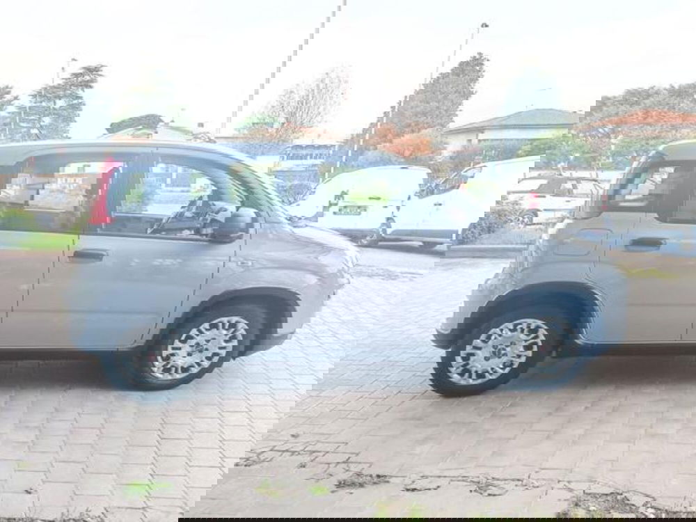 Fiat Panda usata a Pisa (19)