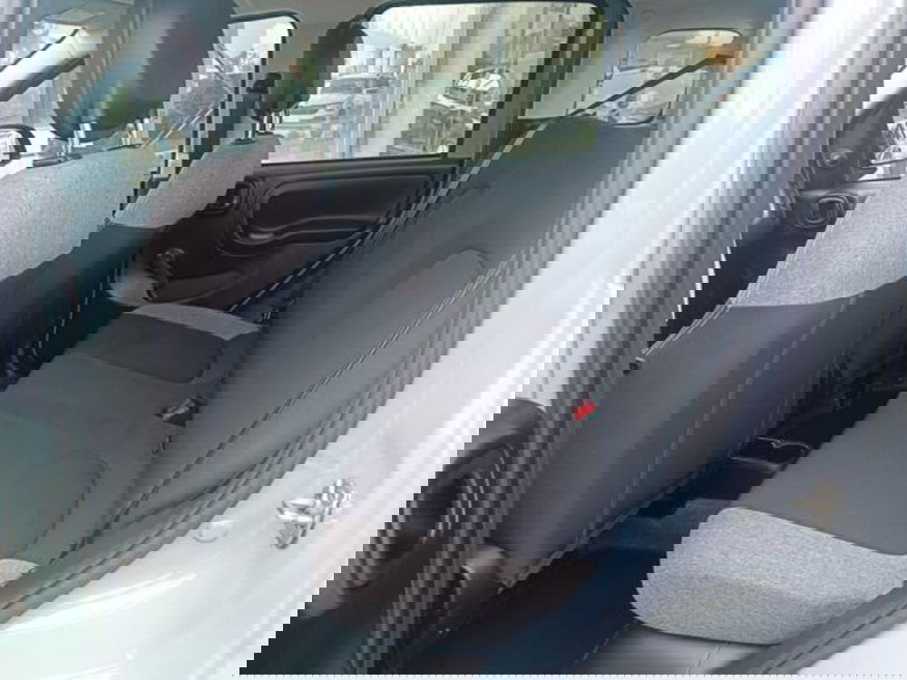 Fiat Panda usata a Pisa (6)