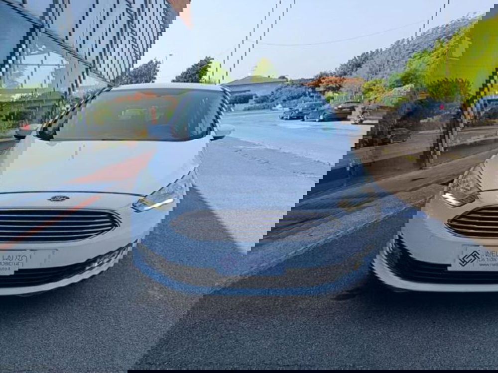 Ford C-Max usata a Pisa (12)