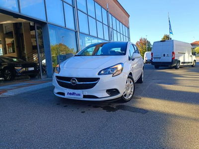 Opel Corsa 1.2 5 porte Advance del 2019 usata a Castelfranco di Sotto