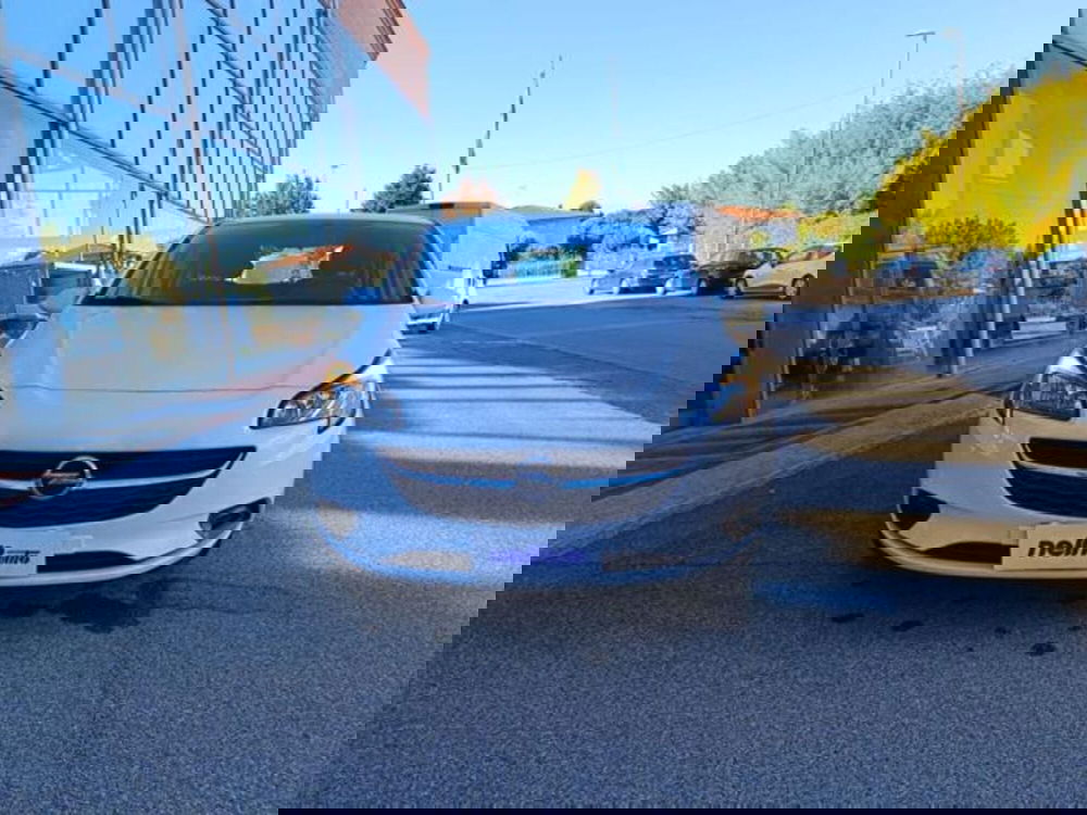 Opel Corsa usata a Pisa (12)