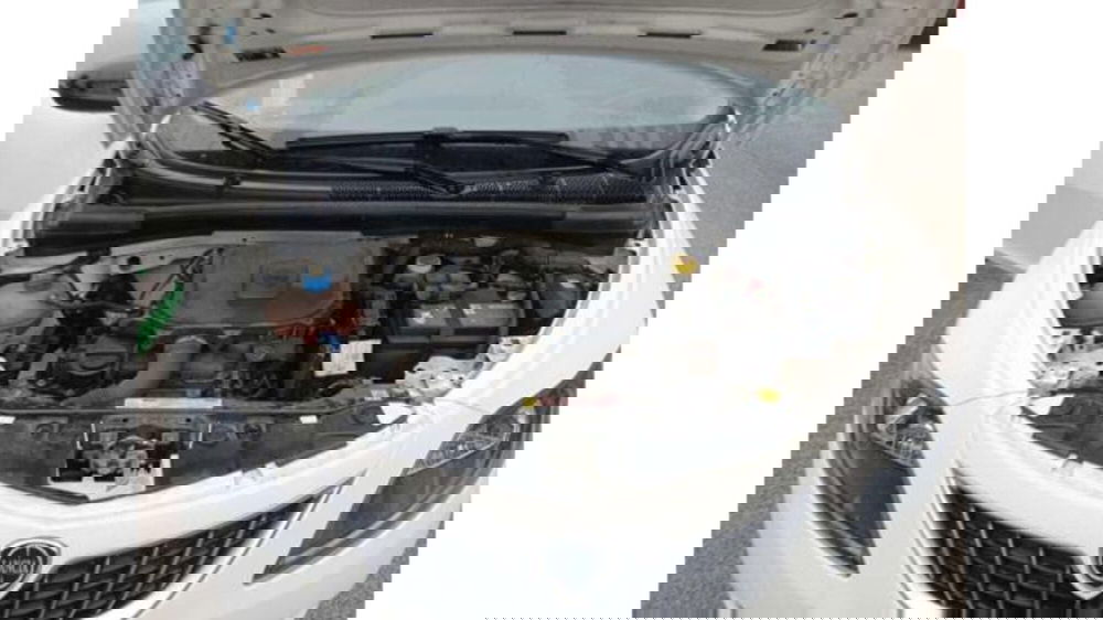 Lancia Ypsilon usata a Pisa (12)