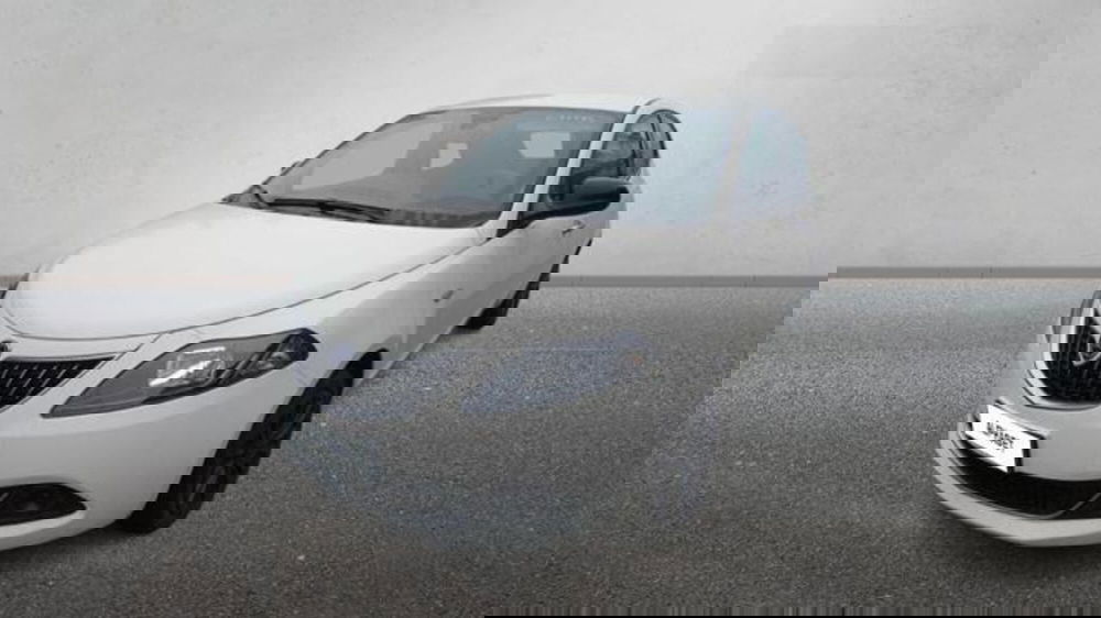 Lancia Ypsilon usata a Pisa (2)