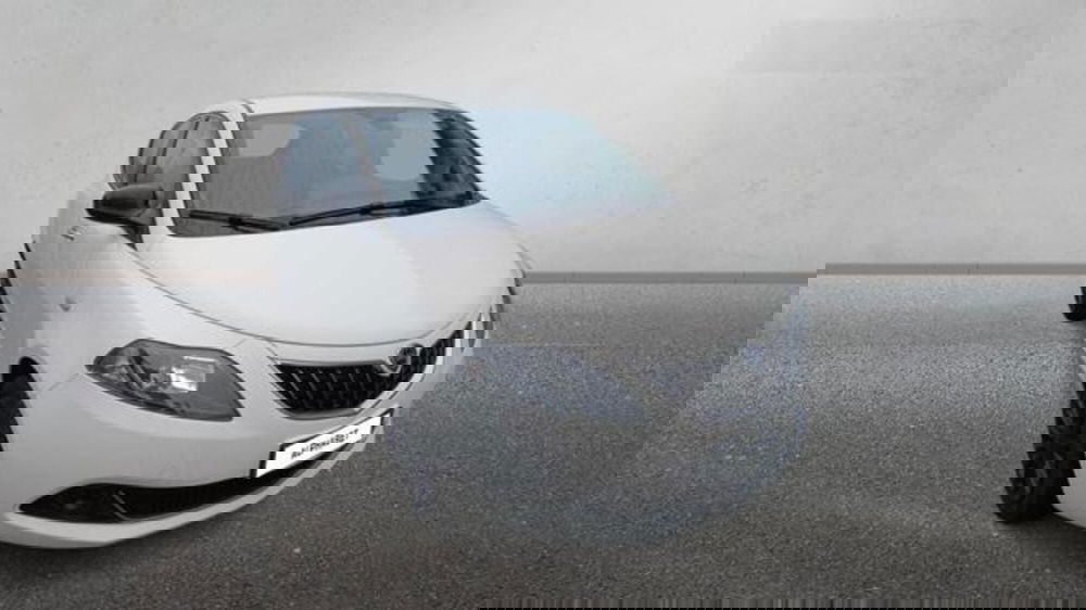 Lancia Ypsilon usata a Pisa (3)