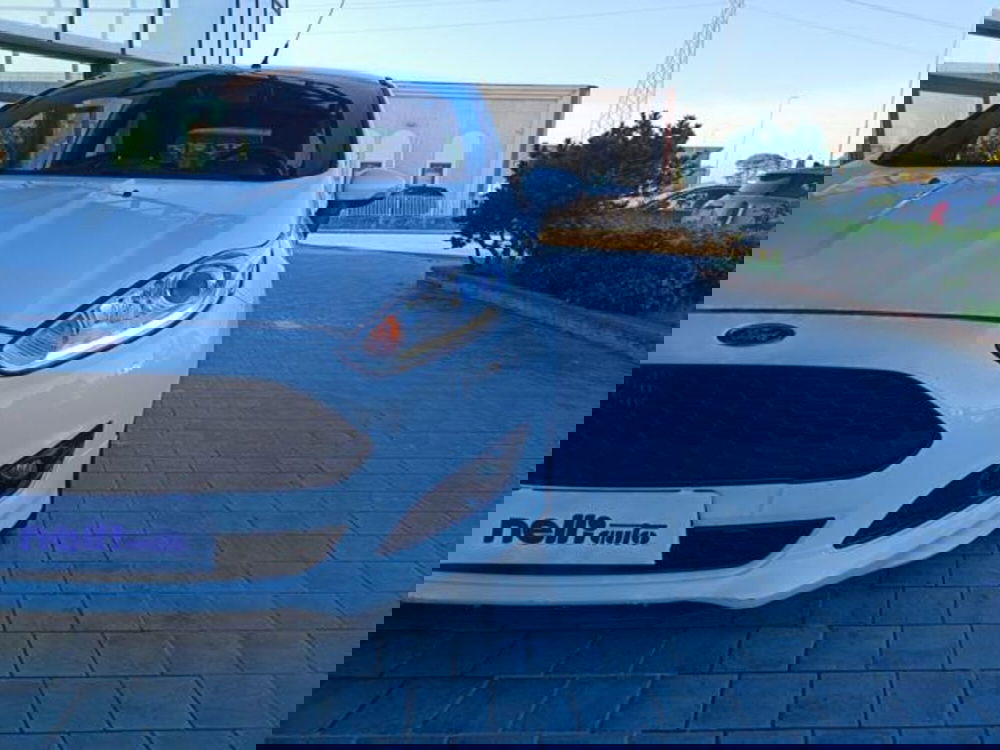 Ford Fiesta usata a Pisa (18)