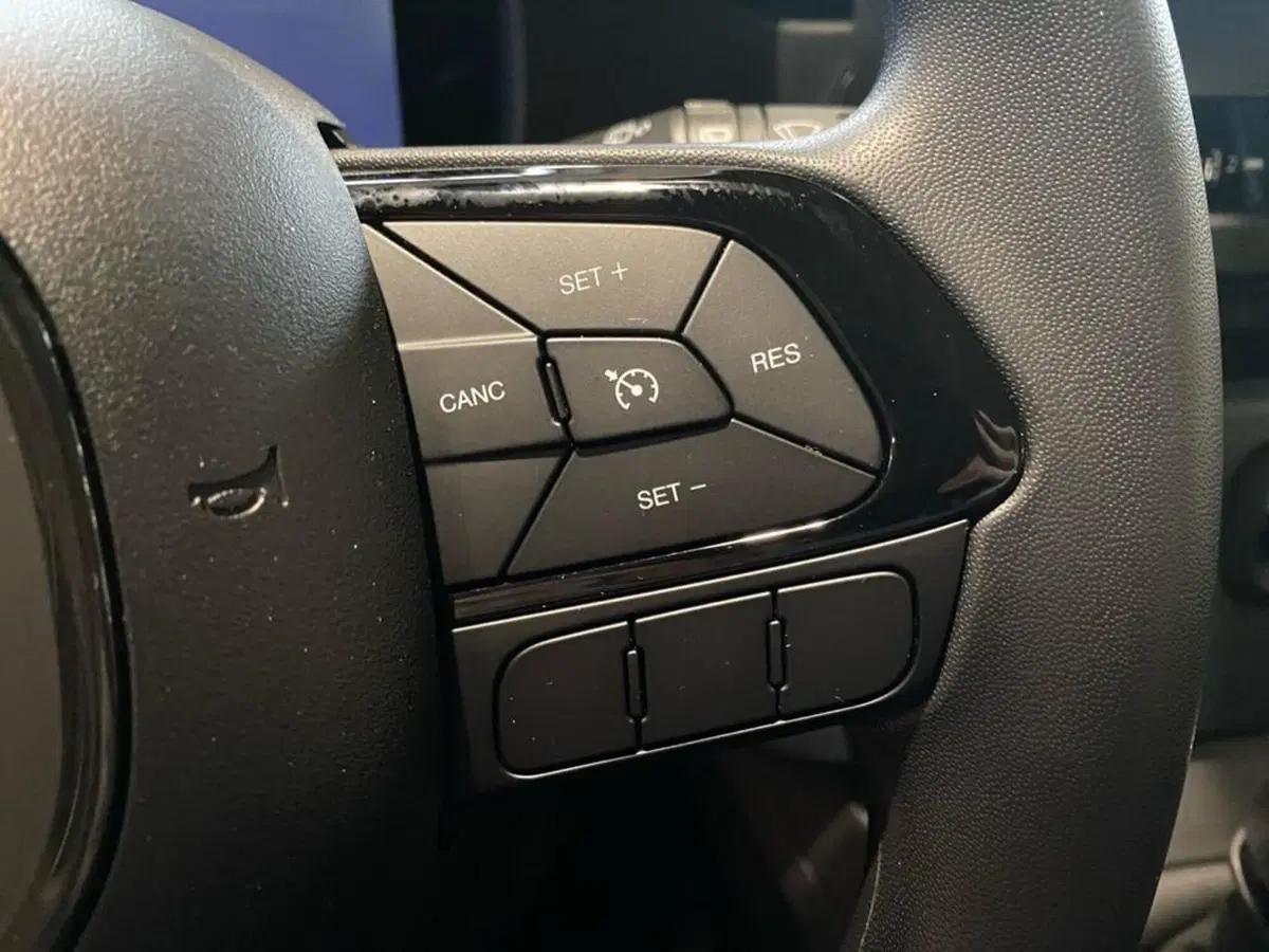 Fiat Pandina nuova a Torino (14)
