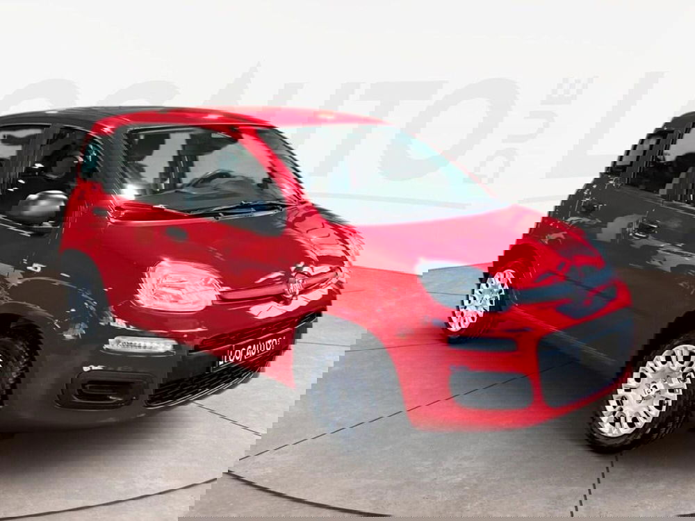 Fiat Pandina nuova a Torino (3)