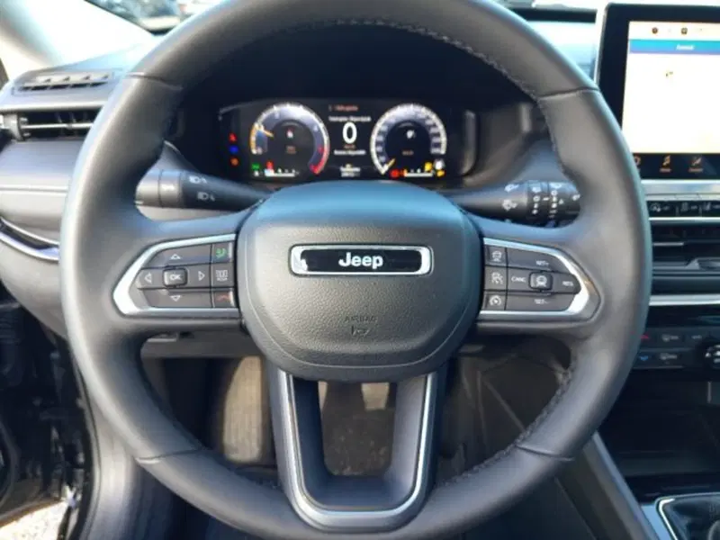 Jeep Compass usata a Frosinone (8)