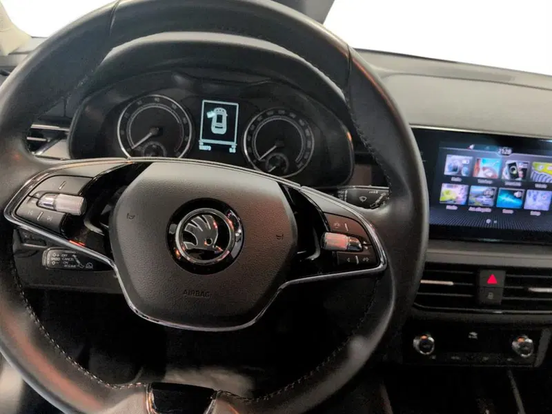 Skoda Kamiq usata a Piacenza (14)