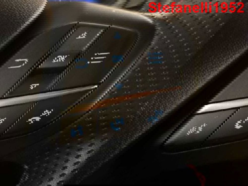 Ford Puma usata a Bologna (19)