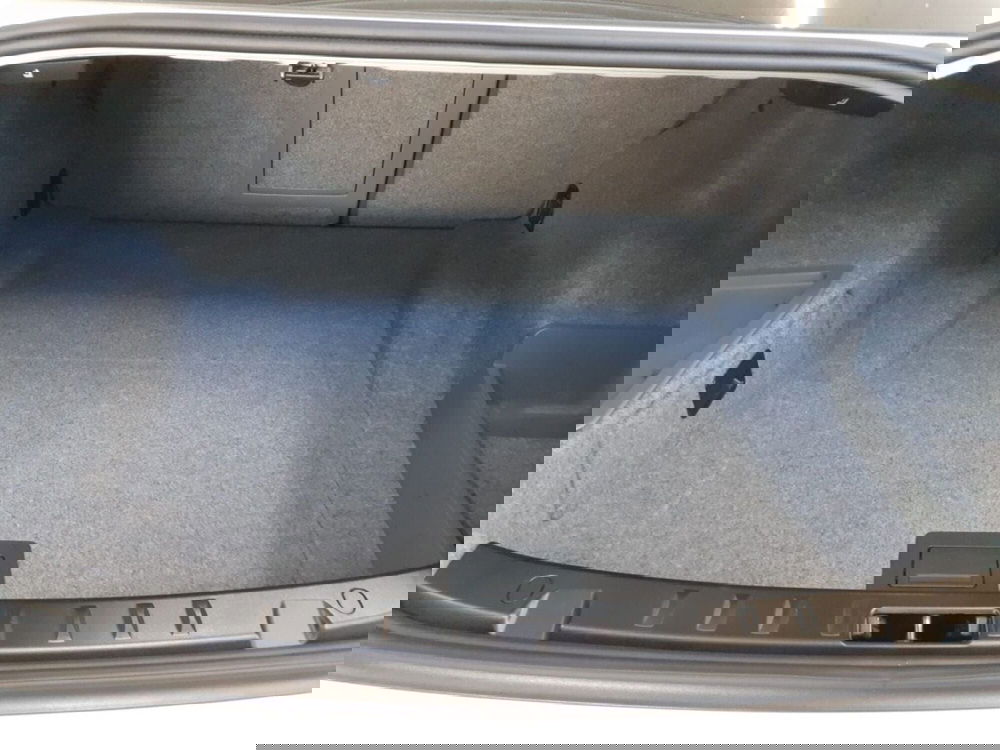 BMW Serie 3 Coupé usata a Firenze (10)