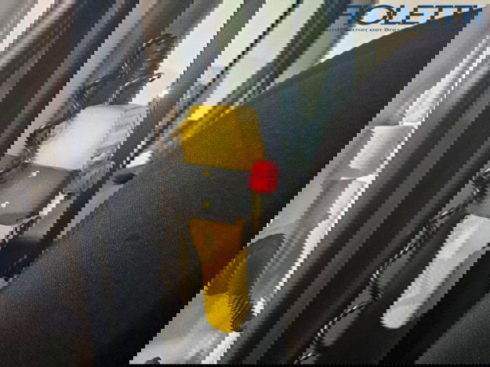 Ford Transit Telaio usata a Brescia (9)