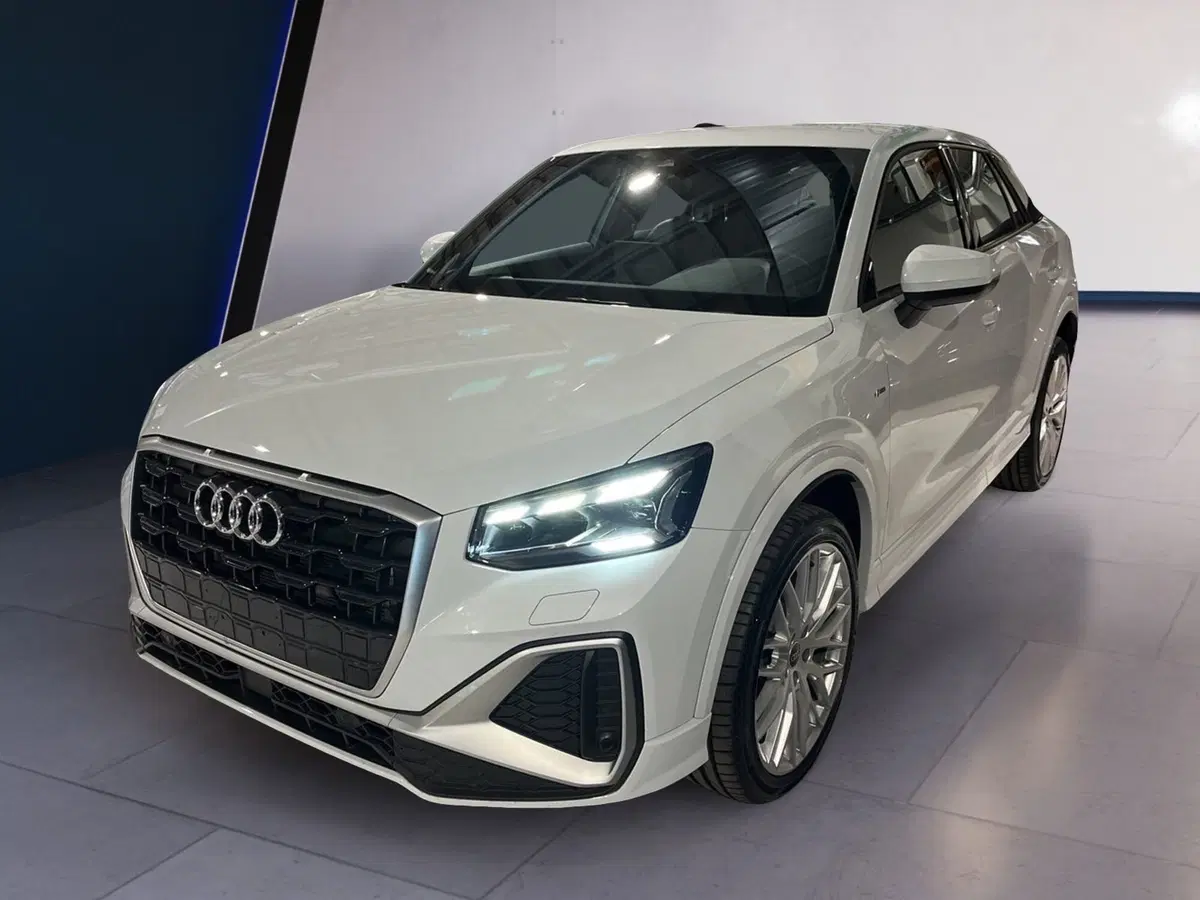 Audi Q2 usata a Torino (3)