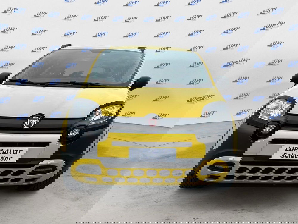 Fiat Panda usata a Pistoia (4)