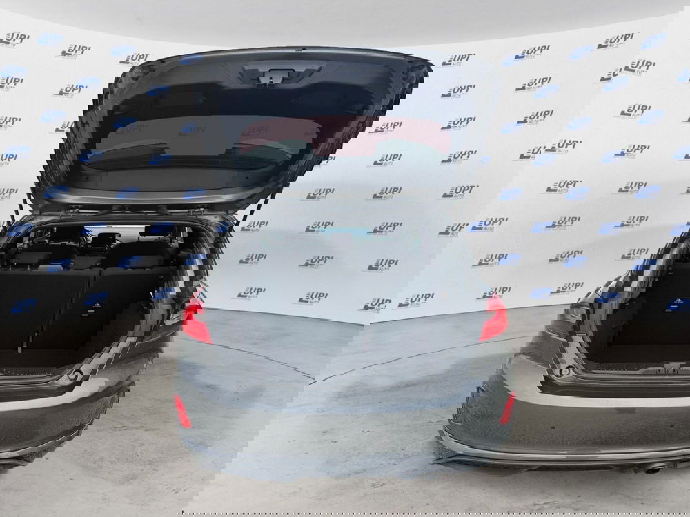 Ford Fiesta usata a Pistoia (12)