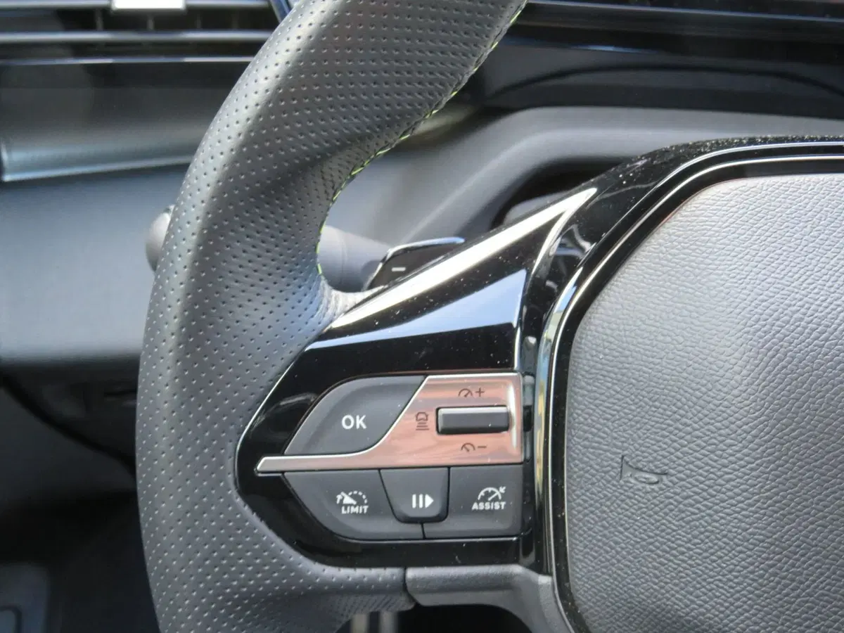 Peugeot 308 SW usata a Monza e Brianza (14)