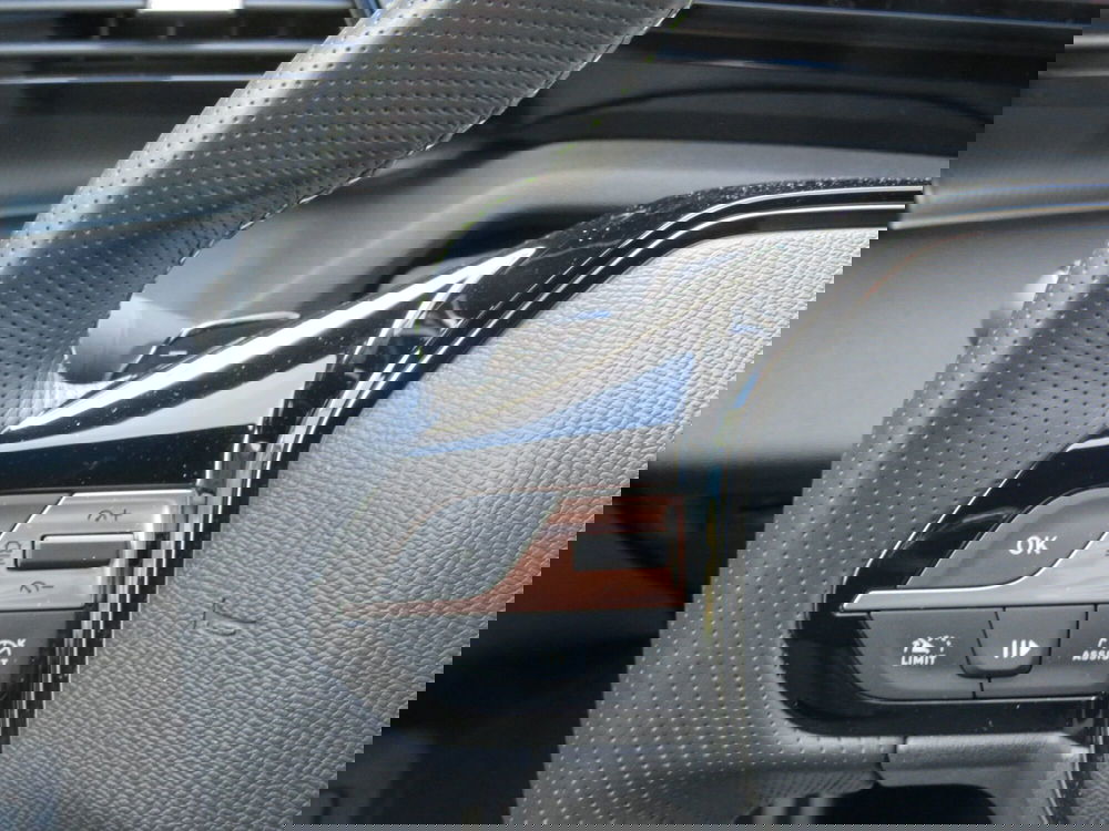 Peugeot 308 SW usata a Monza e Brianza (14)