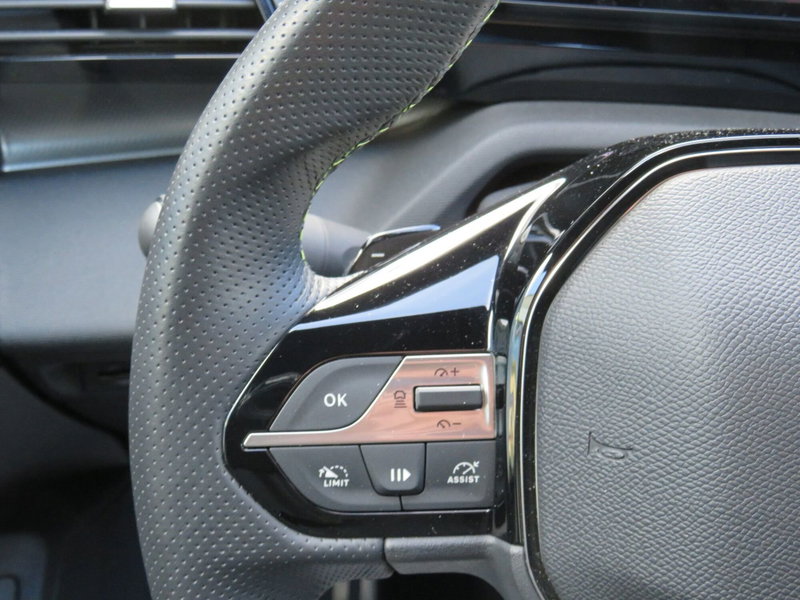 Peugeot 308 SW usata a Monza e Brianza (14)