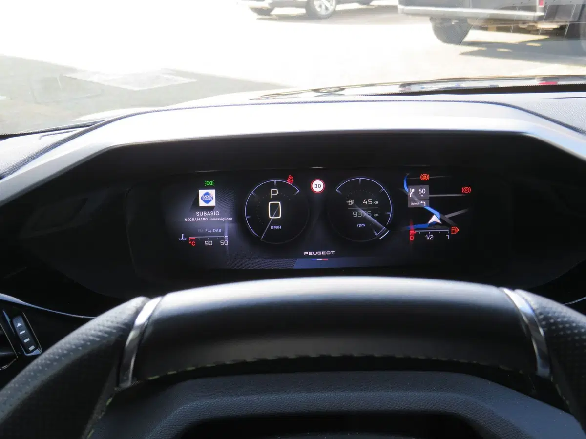 Peugeot 308 SW usata a Monza e Brianza (16)