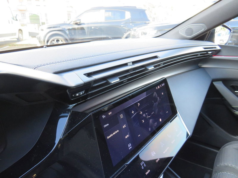 Peugeot 308 SW usata a Monza e Brianza (19)