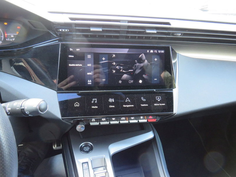 Peugeot 308 SW usata a Monza e Brianza (20)